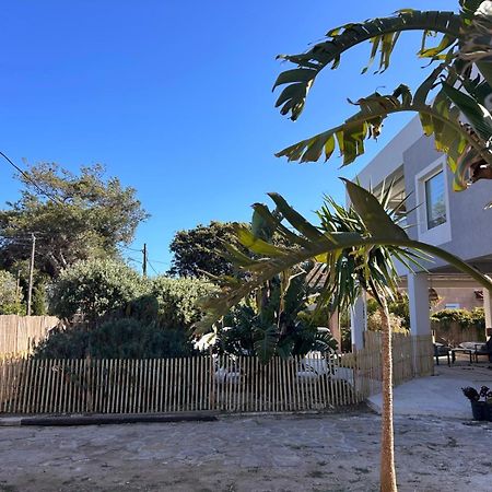Bas De Villa - 300M Plage De La Capte - 2 Hebergements Disponibles 히에레 외부 사진